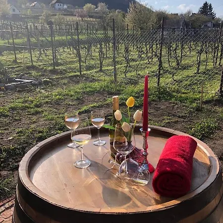 Rubin Apartament Doba